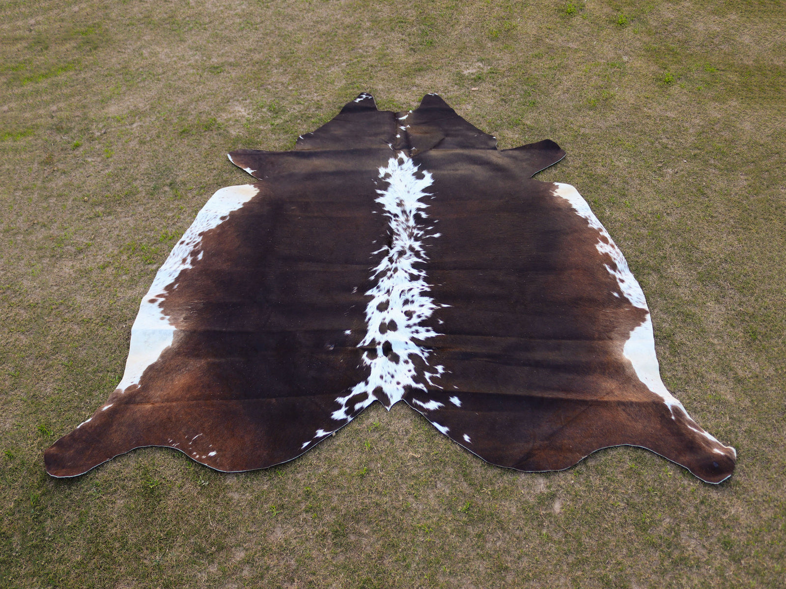 Chocolate Brown and White Hair-On Cowhide Rug