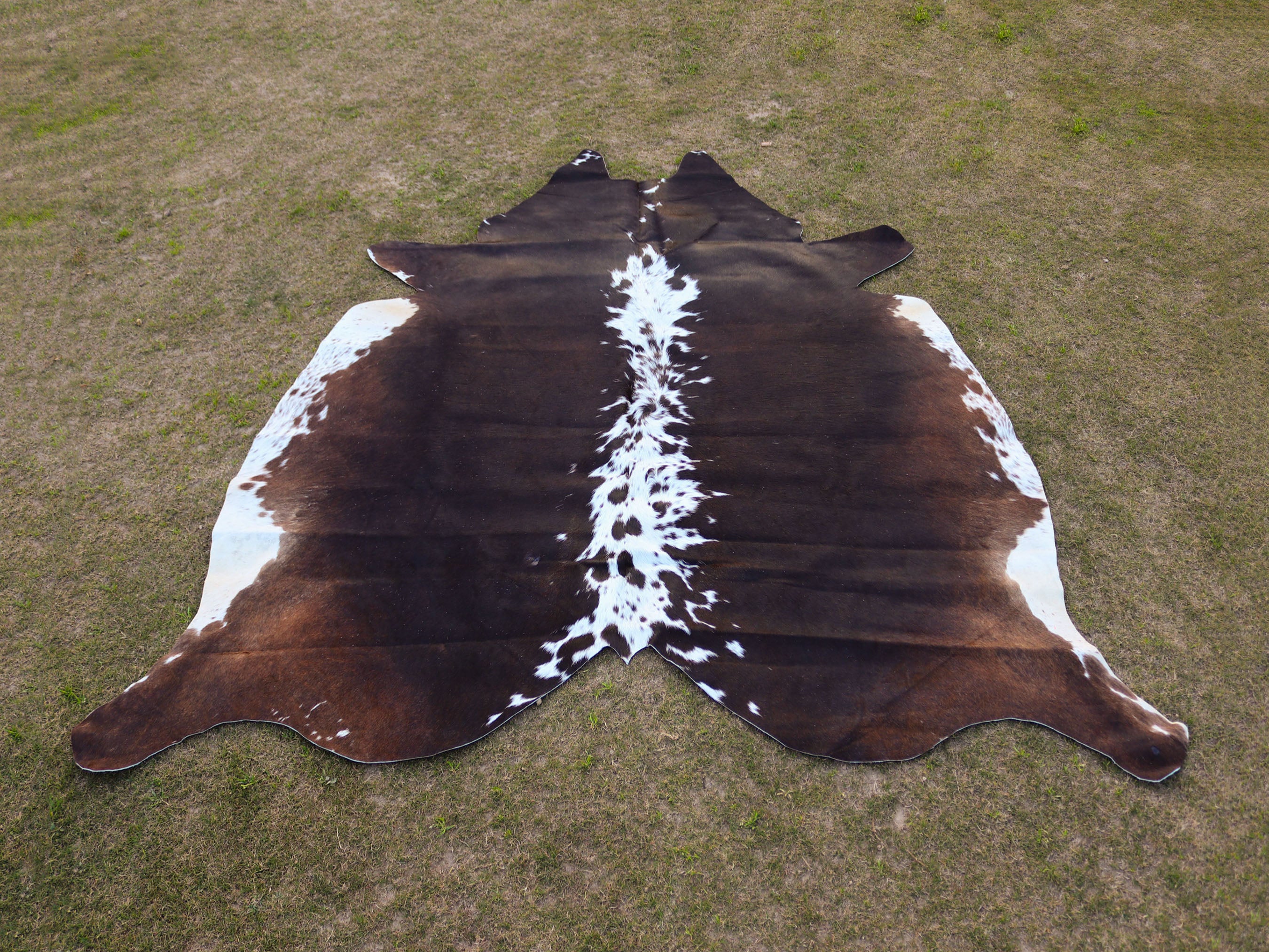 Chocolate Brown and White Hair-On Cowhide Rug
