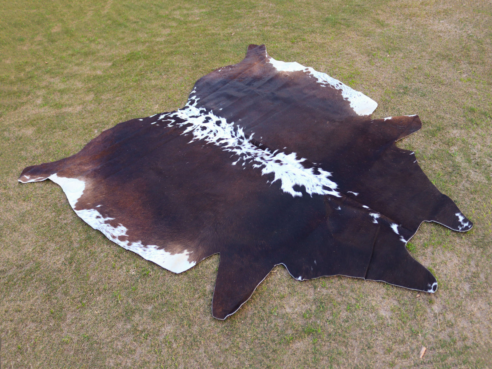 Chocolate Brown and White Hair-On Cowhide Rug