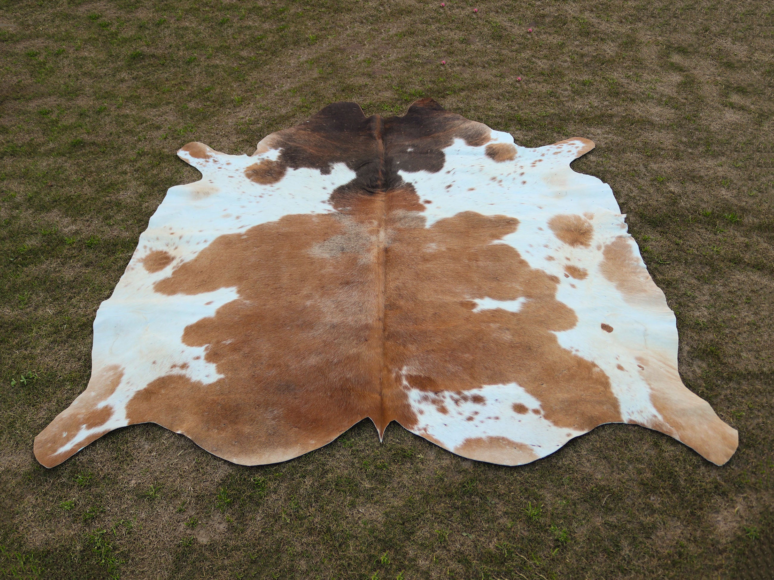 Beige and White Cowhide Rug in Panda Print Style