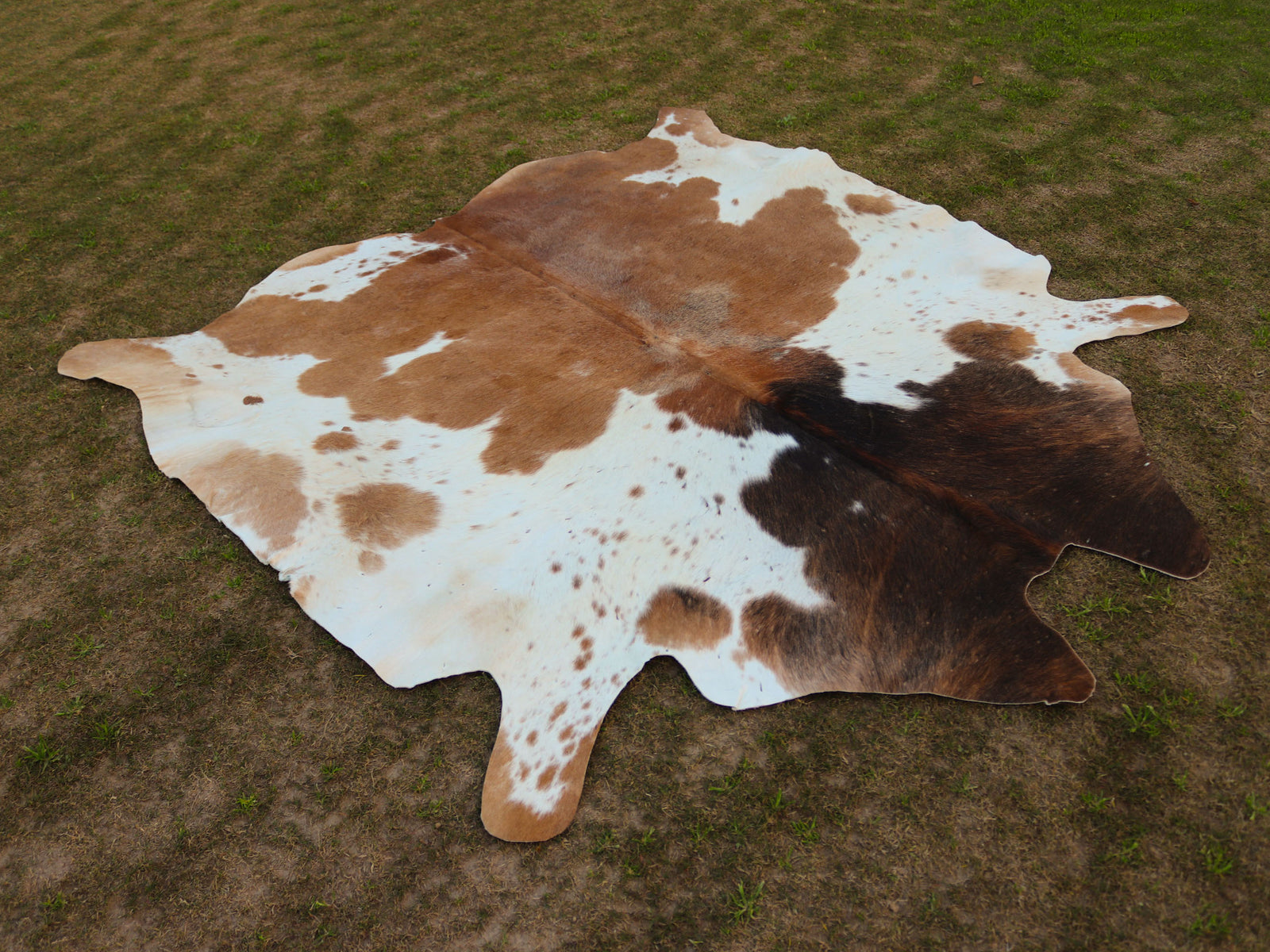 Beige and White Cowhide Rug in Panda Print Style