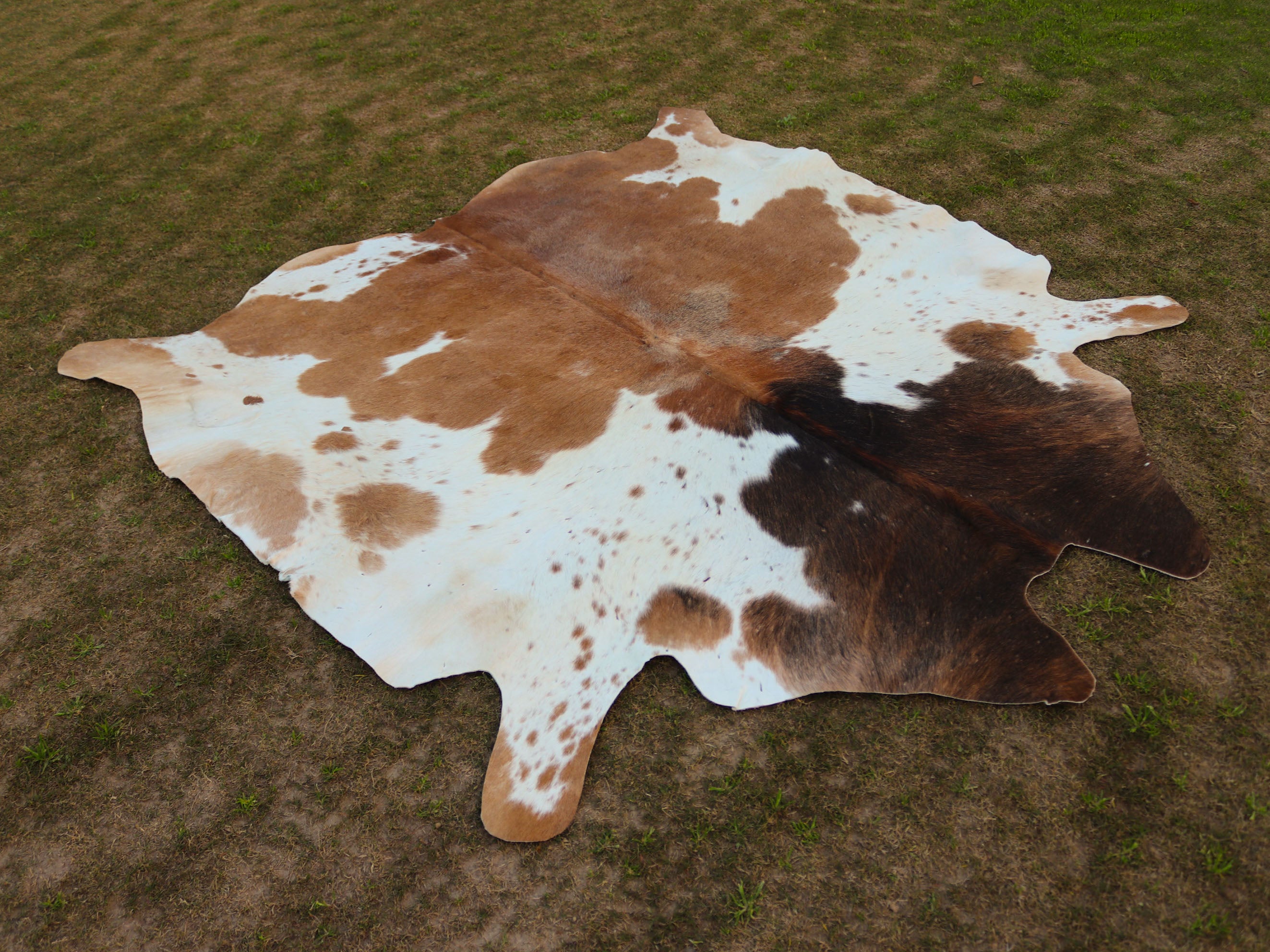 Beige and White Cowhide Rug in Panda Print Style