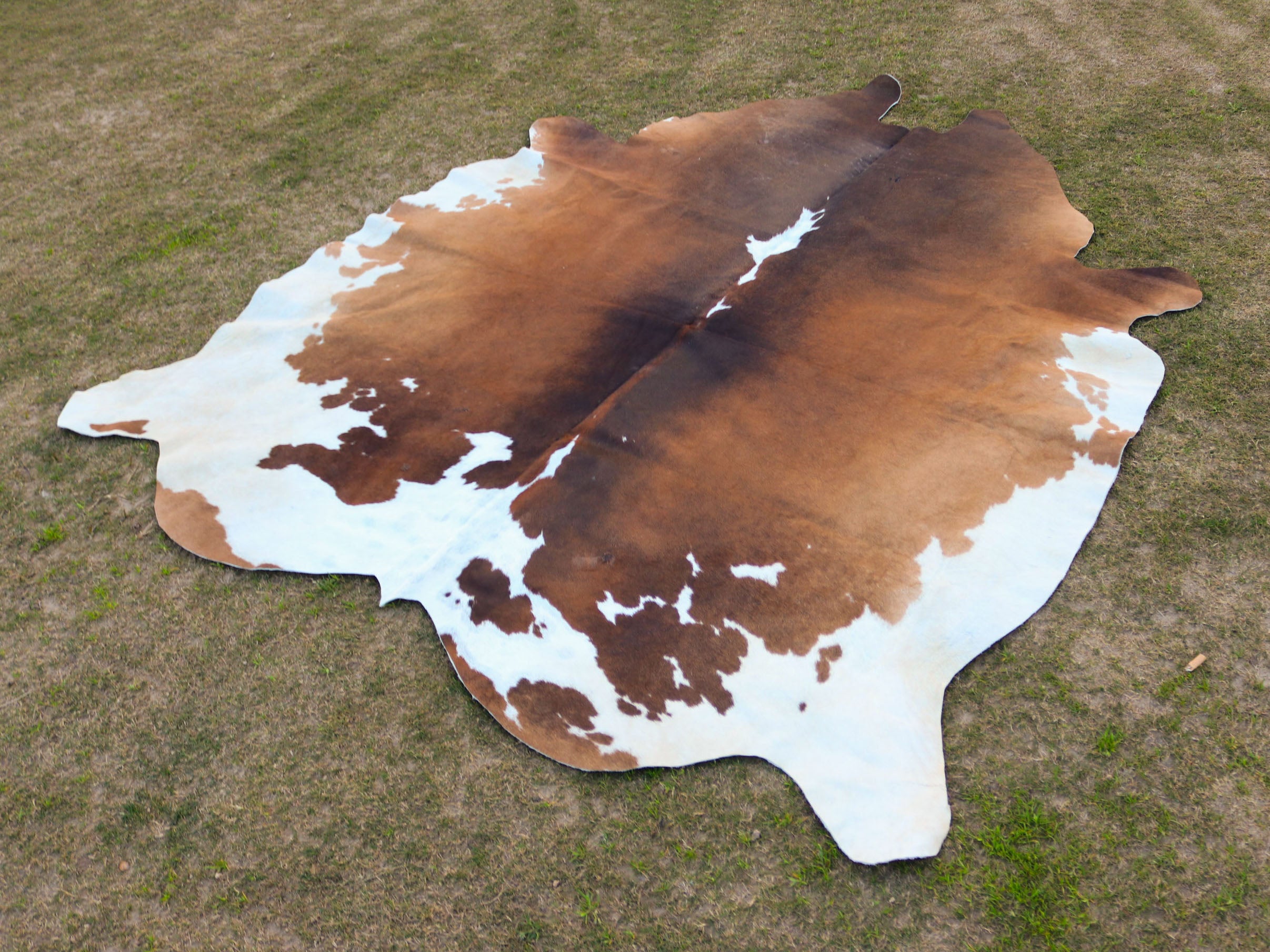 Tan Brown and White Cowhide Rug in Panda Print Style