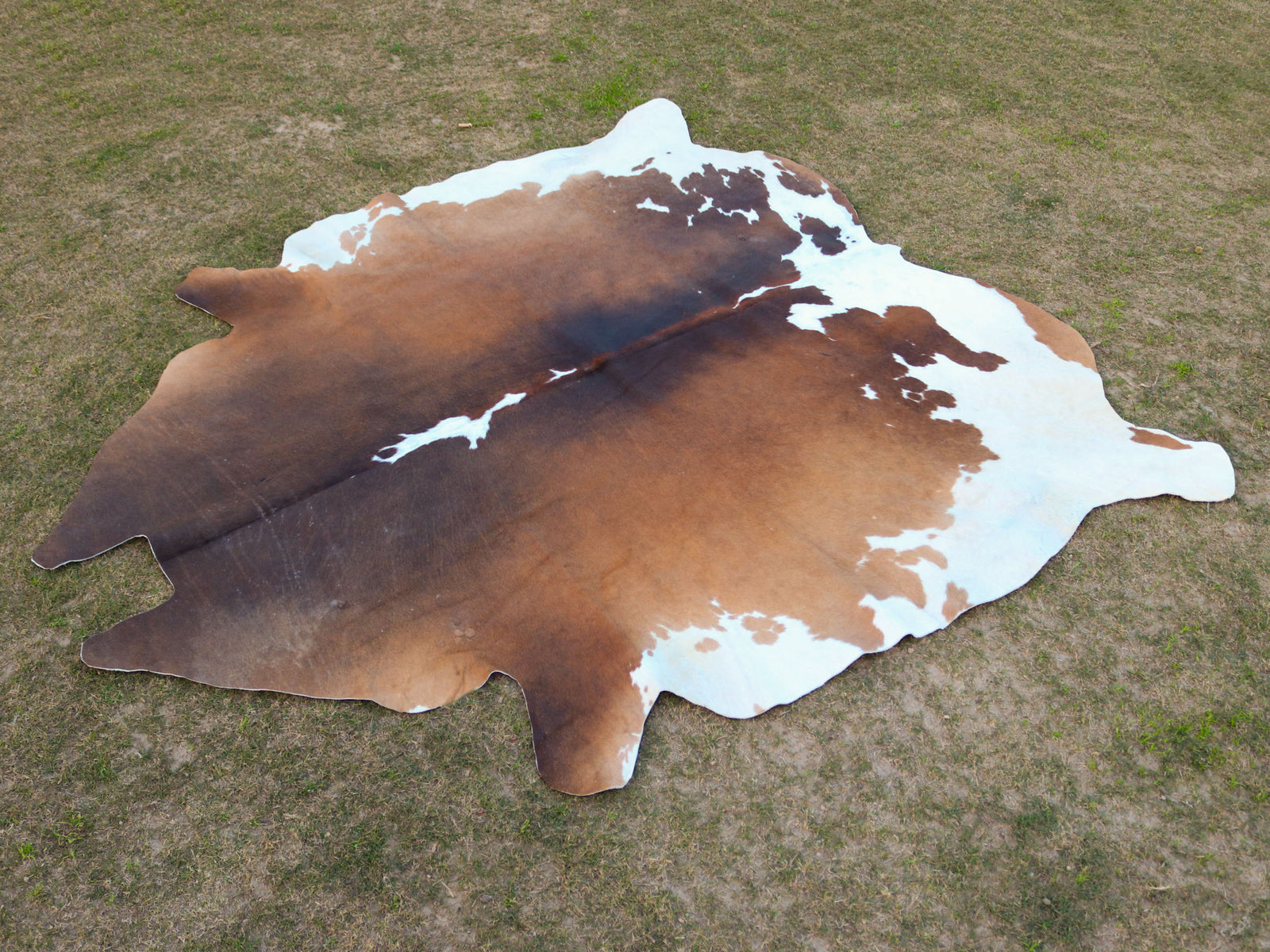 Tan Brown and White Cowhide Rug in Panda Print Style