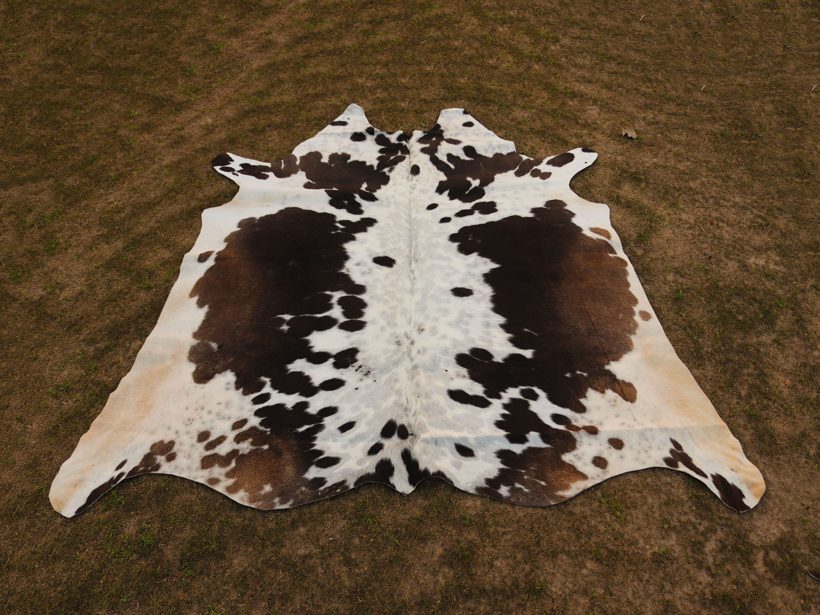 Chocolate Brown and White Cowhide Rug