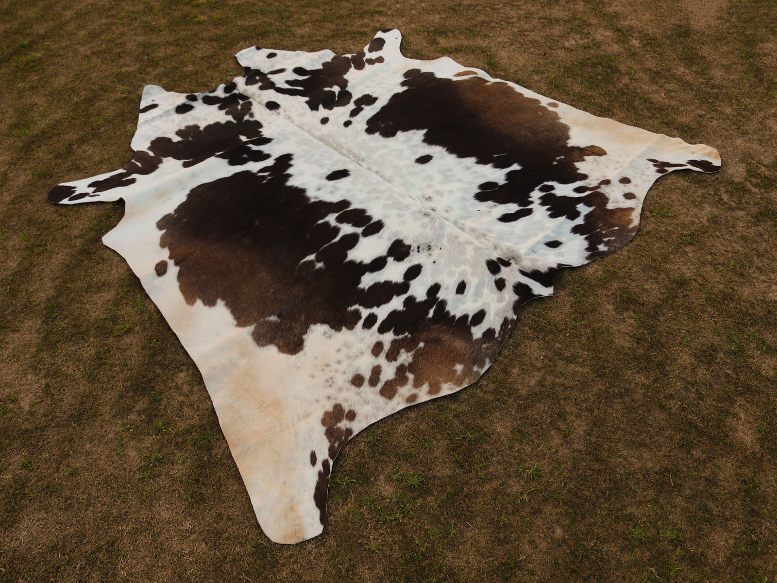 Chocolate Brown and White Cowhide Rug