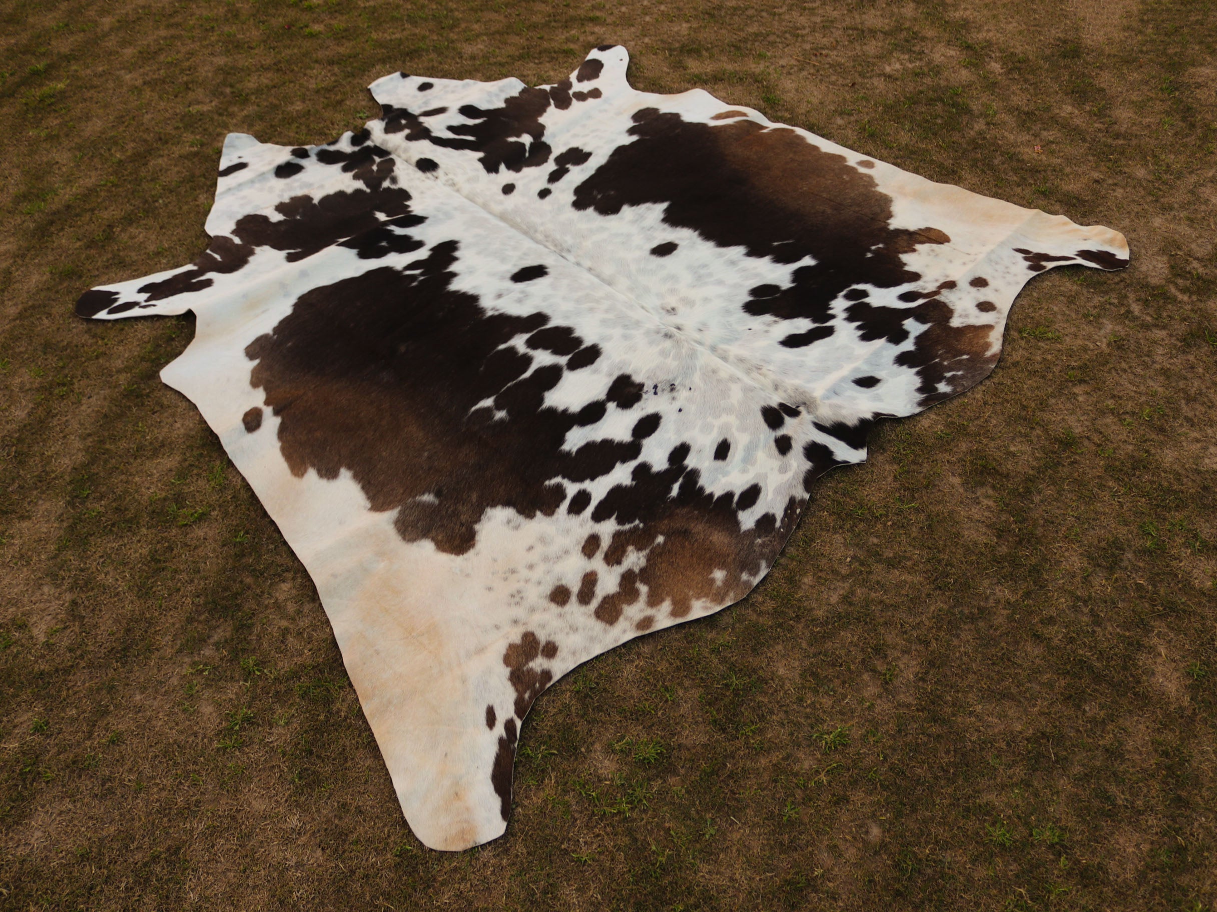 Chocolate Brown and White Cowhide Rug