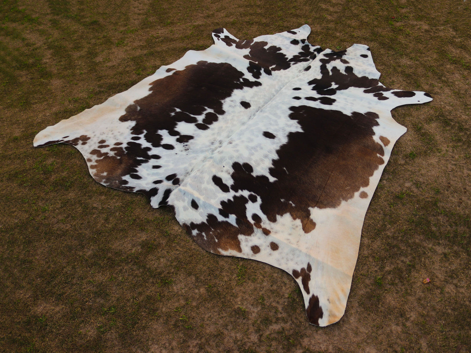 Chocolate Brown and White Cowhide Rug