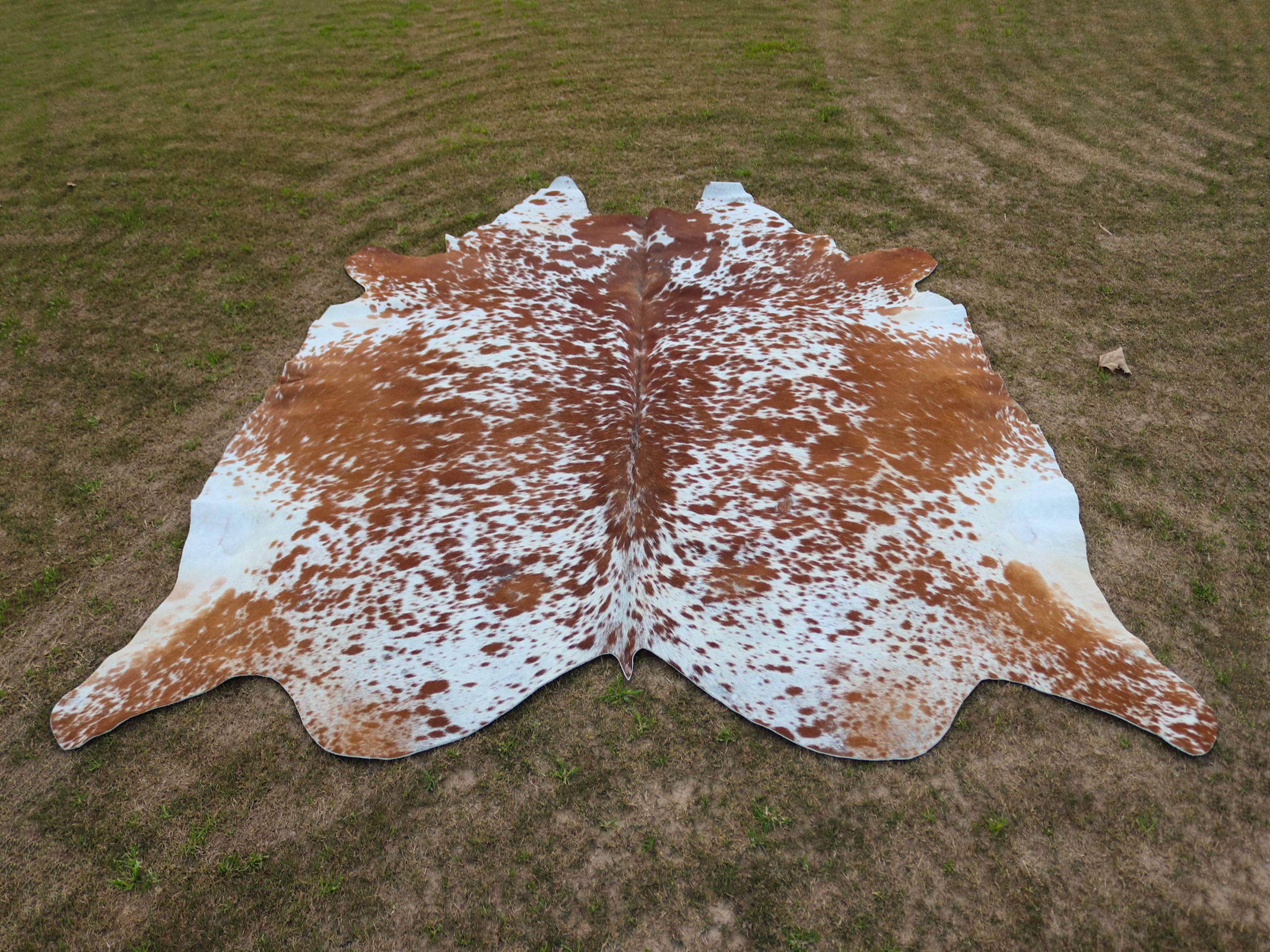 Brown and White Speckled Cowhide Rug