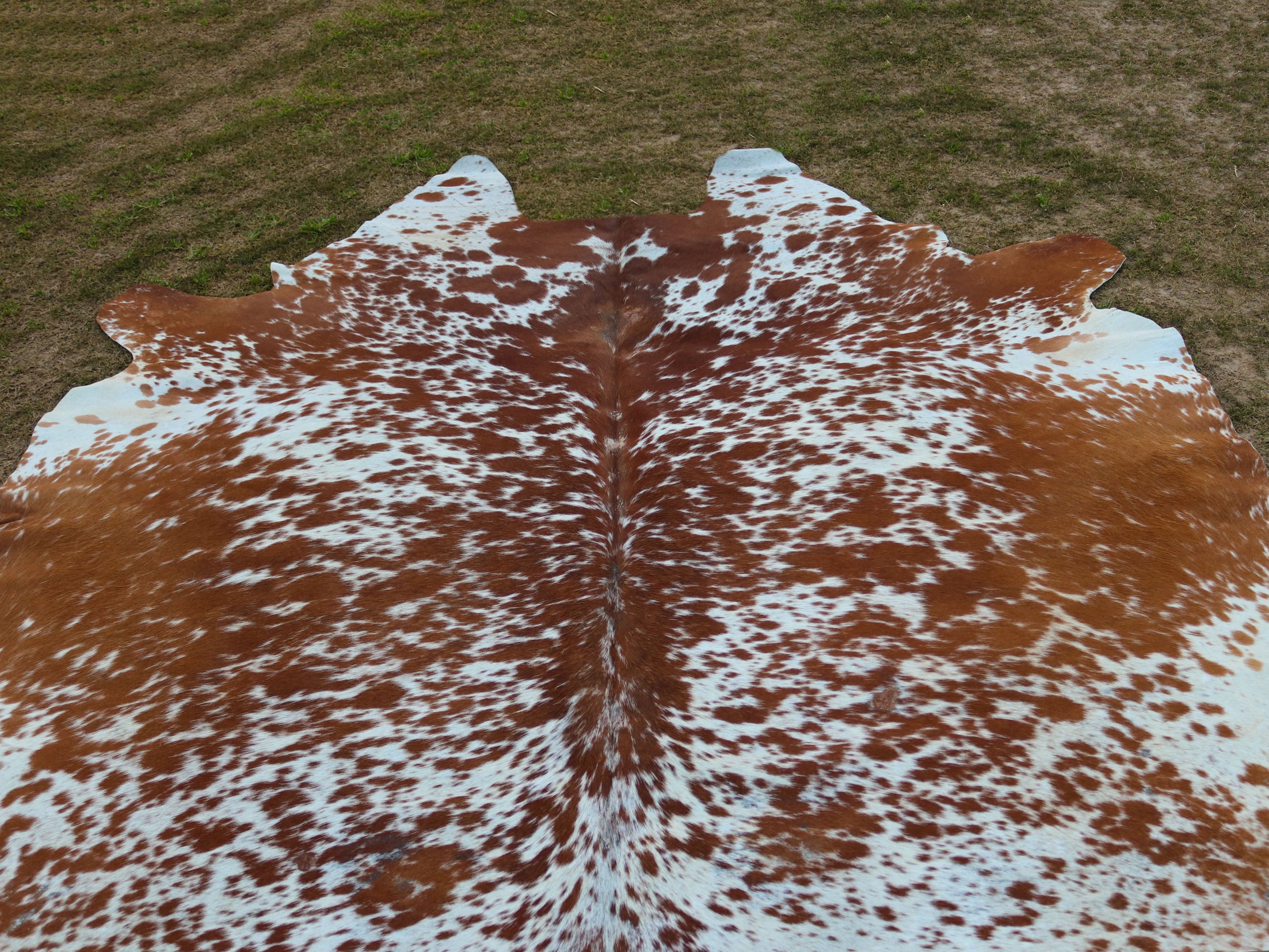 Brown and White Speckled Cowhide Rug