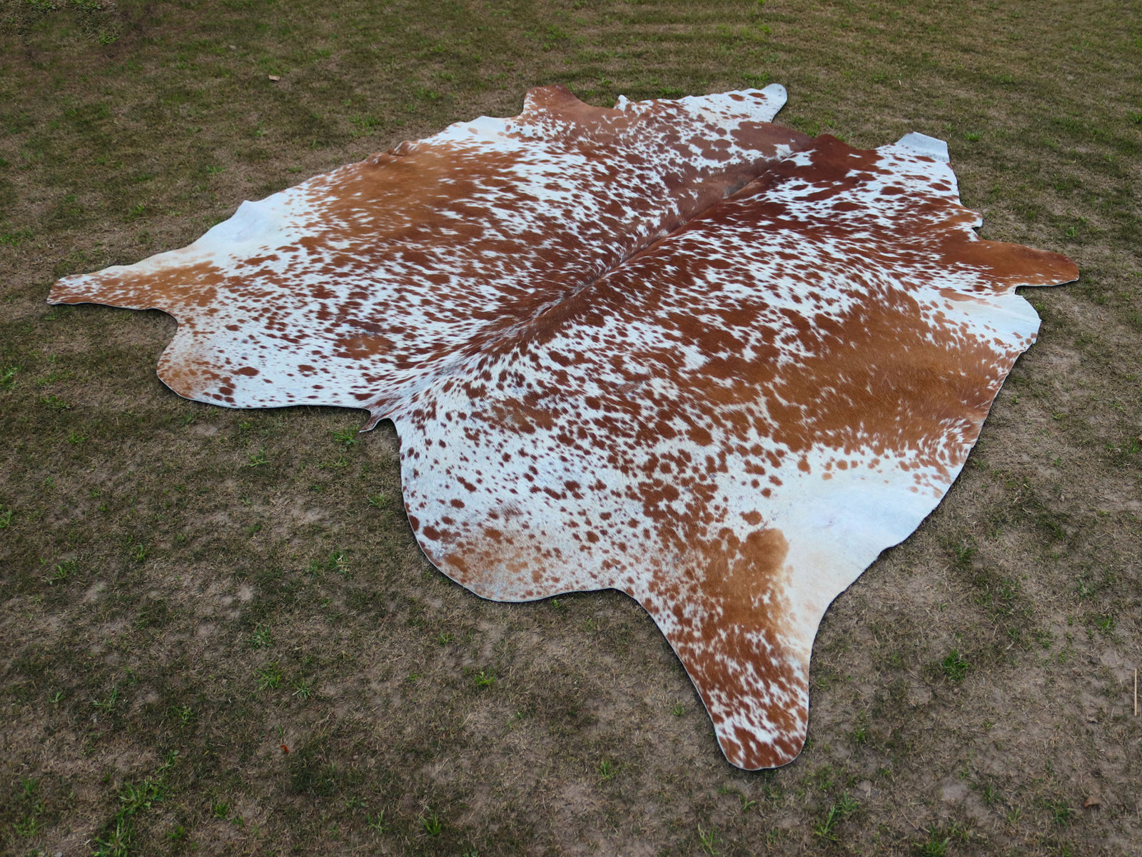Brown and White Speckled Cowhide Rug