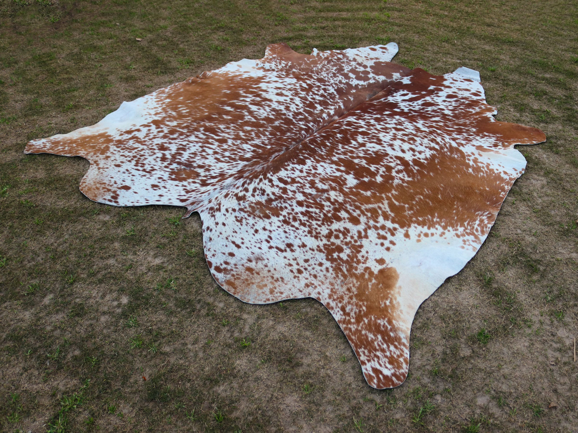 Brown and White Speckled Cowhide Rug