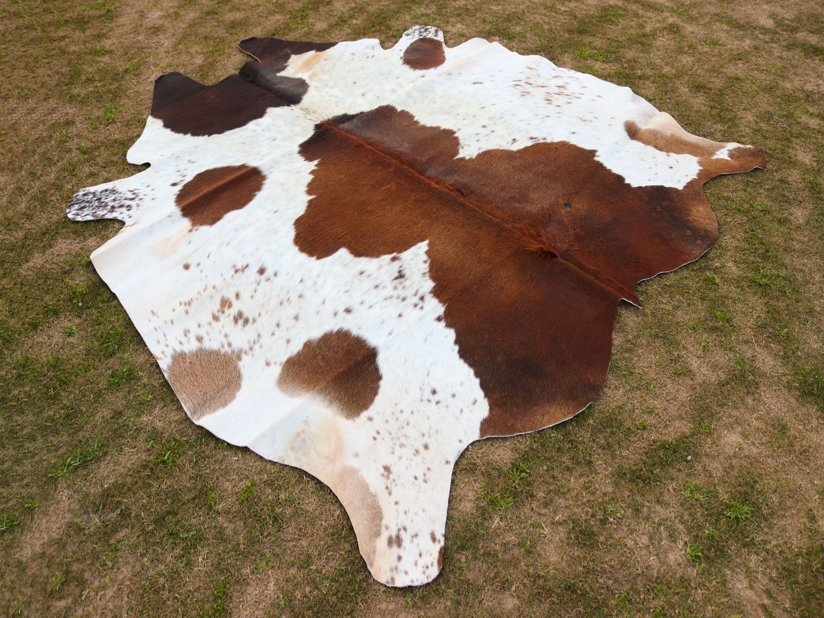 Brown and White Panda Print Cowhide Rug for Home Decor