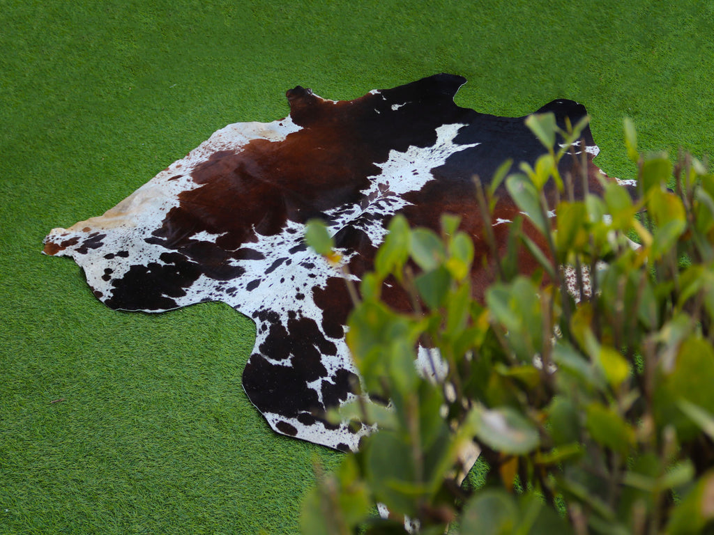 Tricolor Reddish Brown and White Cowhide Rug