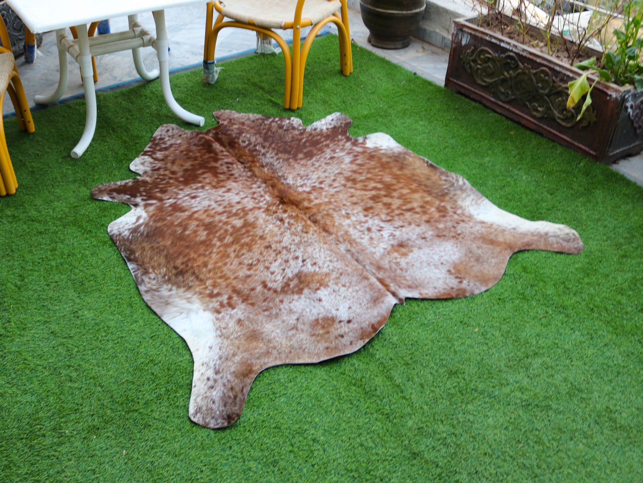 Reddish Brown Cowhide in Salt and Pepper Print