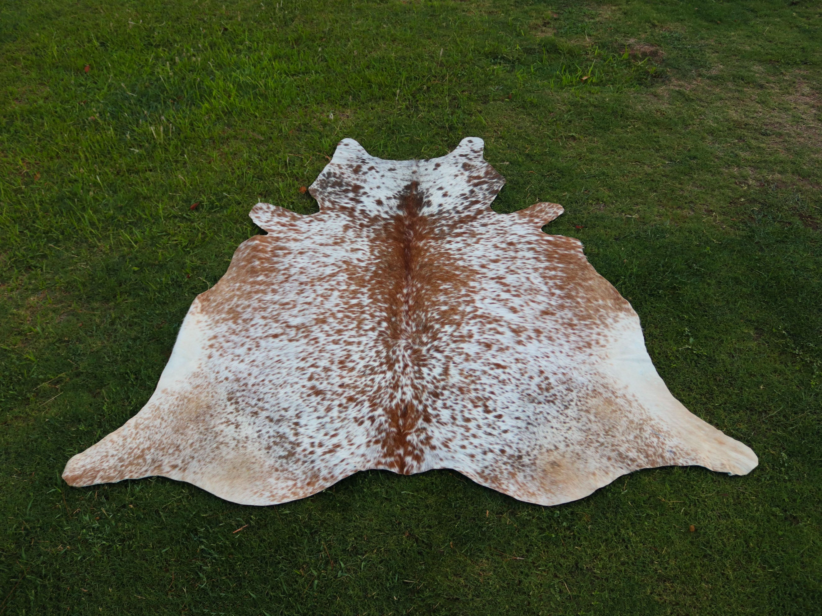 Salt and Pepper Print Cowhide Rug in Beige and White Color