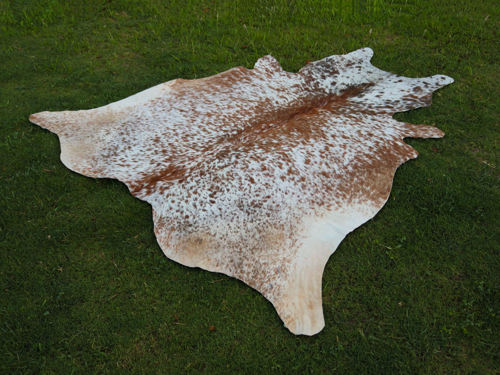 Salt and Pepper Print Cowhide Rug in Beige and White Color