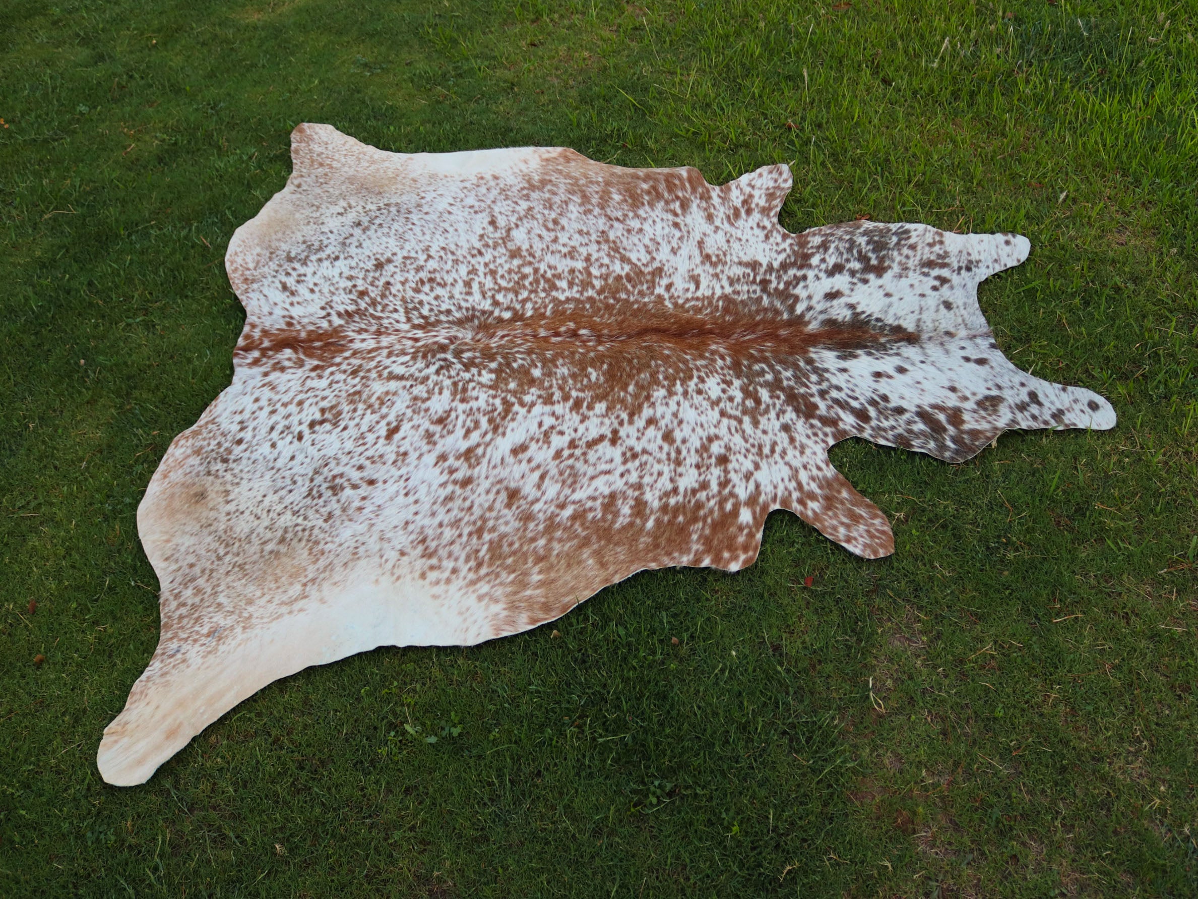Salt and Pepper Print Cowhide Rug in Beige and White Color