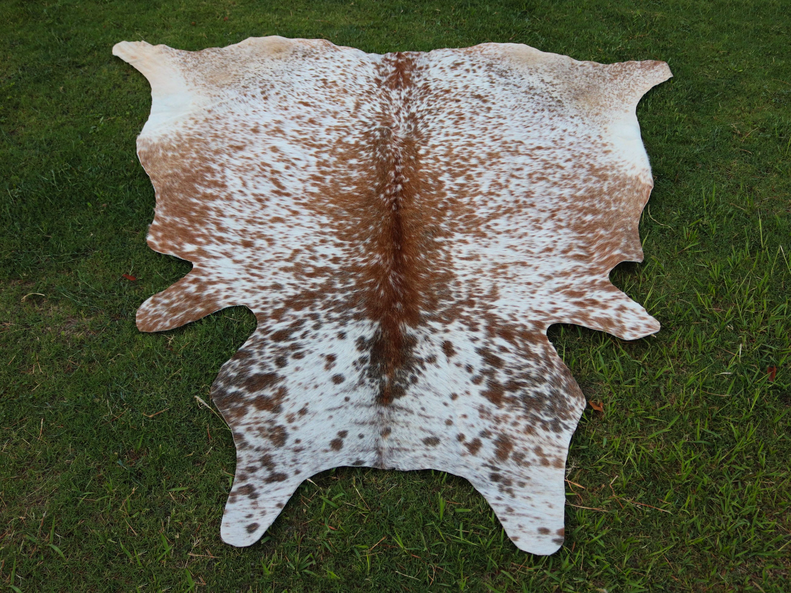 Salt and Pepper Print Cowhide Rug in Beige and White Color