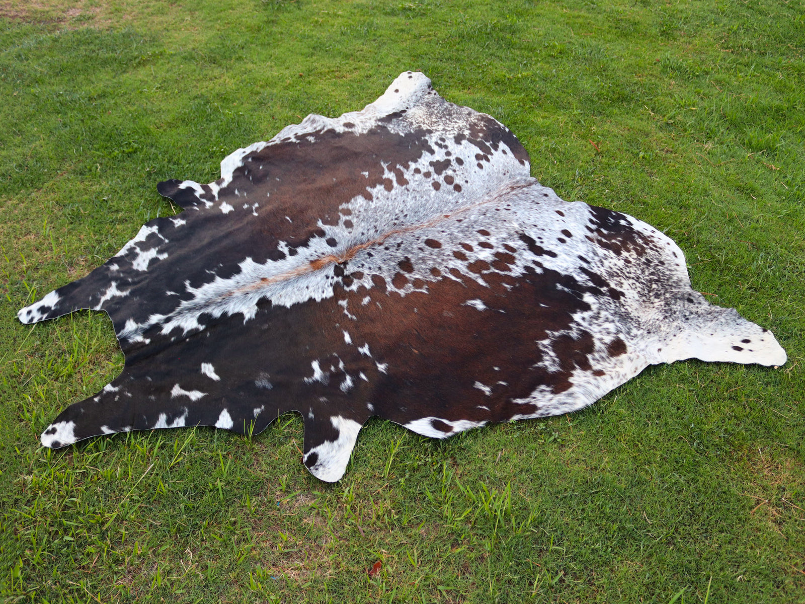 Reddish Brown and White Tricolor Speckled Cowhide Rug