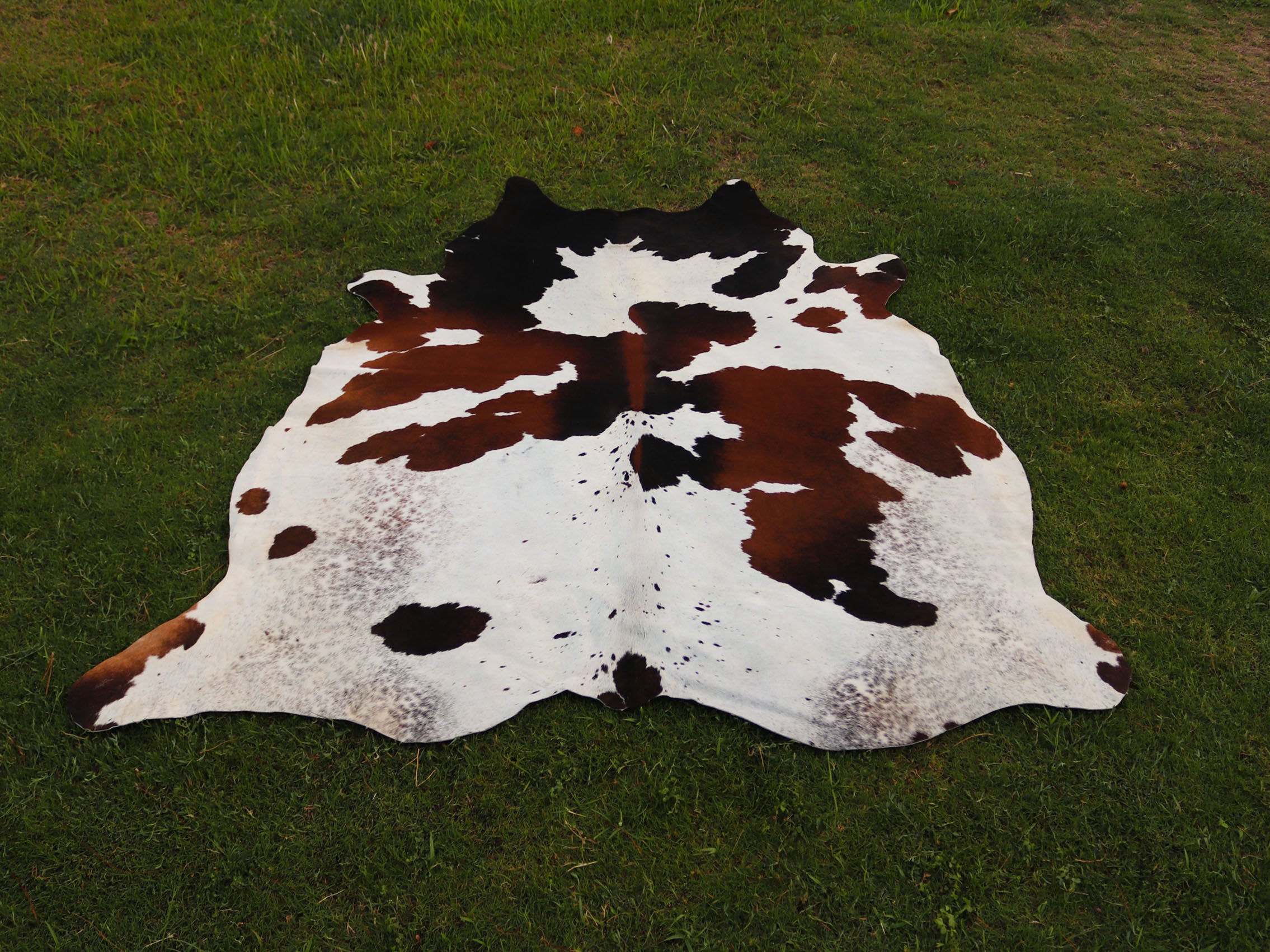 Tricolor Panda Print Cowhide Rug with Unique Design