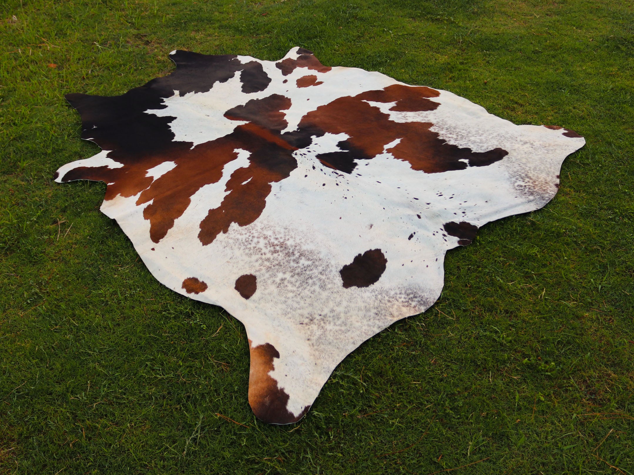 Tricolor Panda Print Cowhide Rug with Unique Design