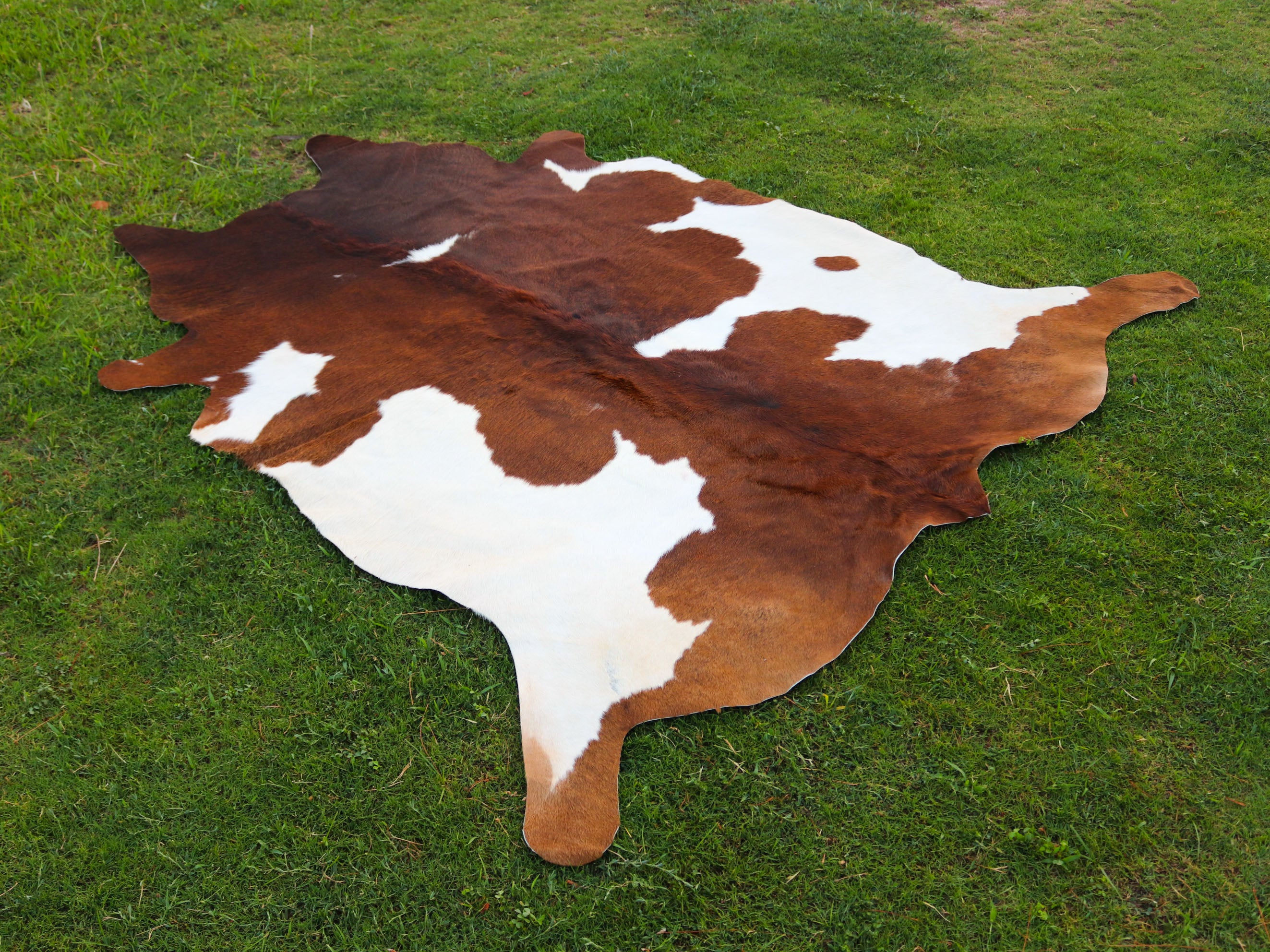 Brown and White Panda Print Hair-On Cowhide Rug
