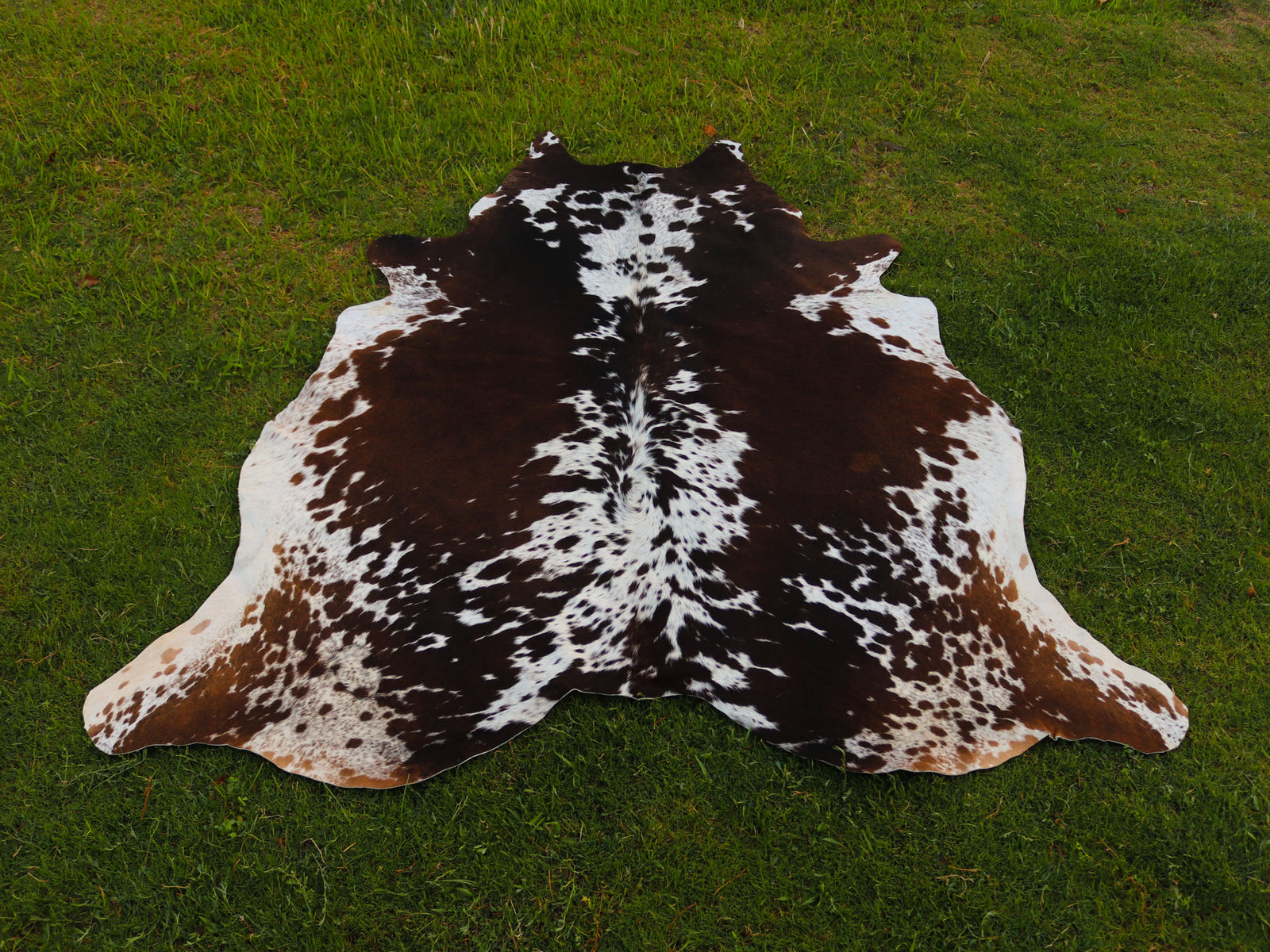Tricolor Speckled Cowhide Rug for Home Décor