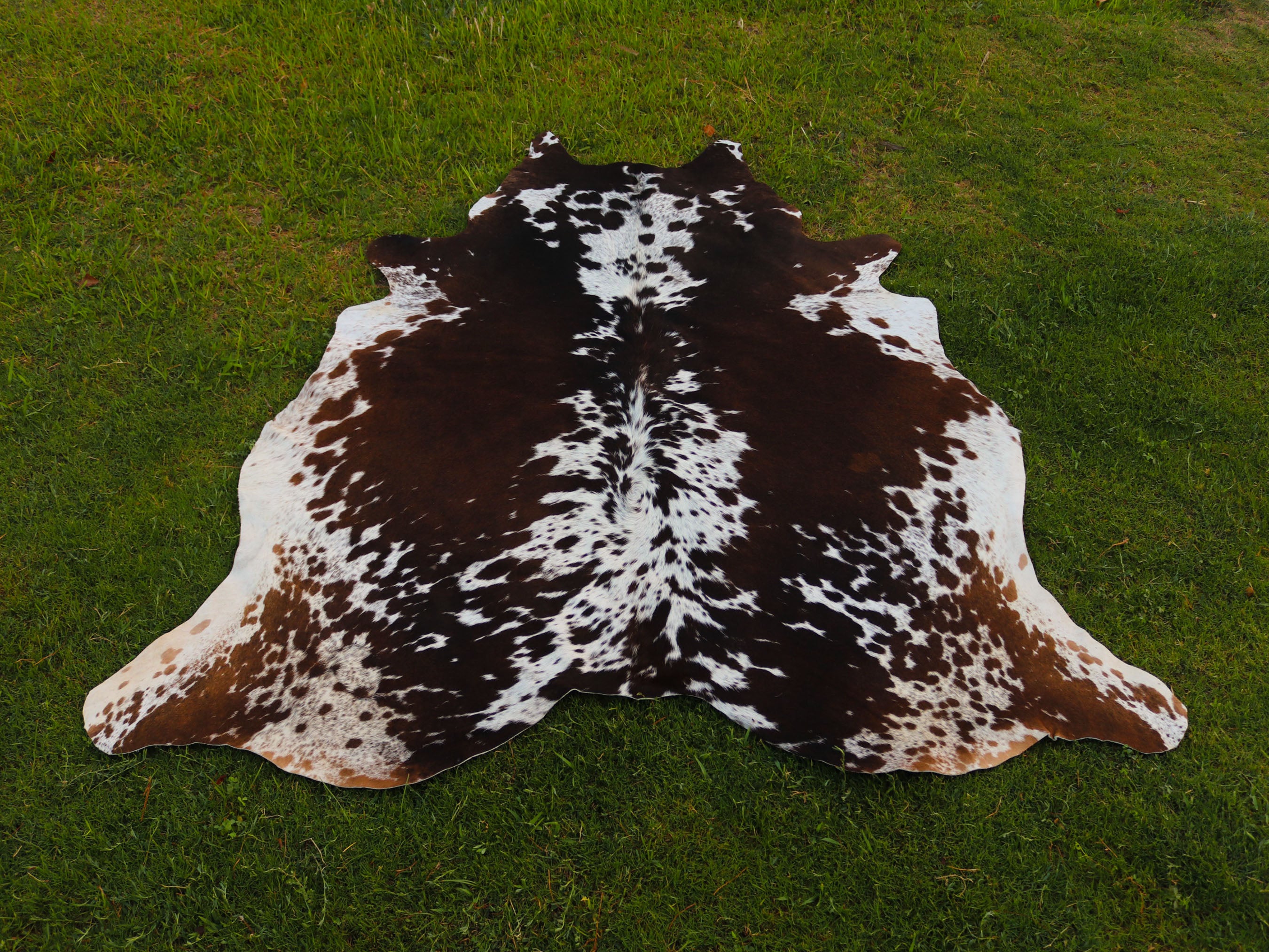 Tricolor Speckled Cowhide Rug for Home Décor