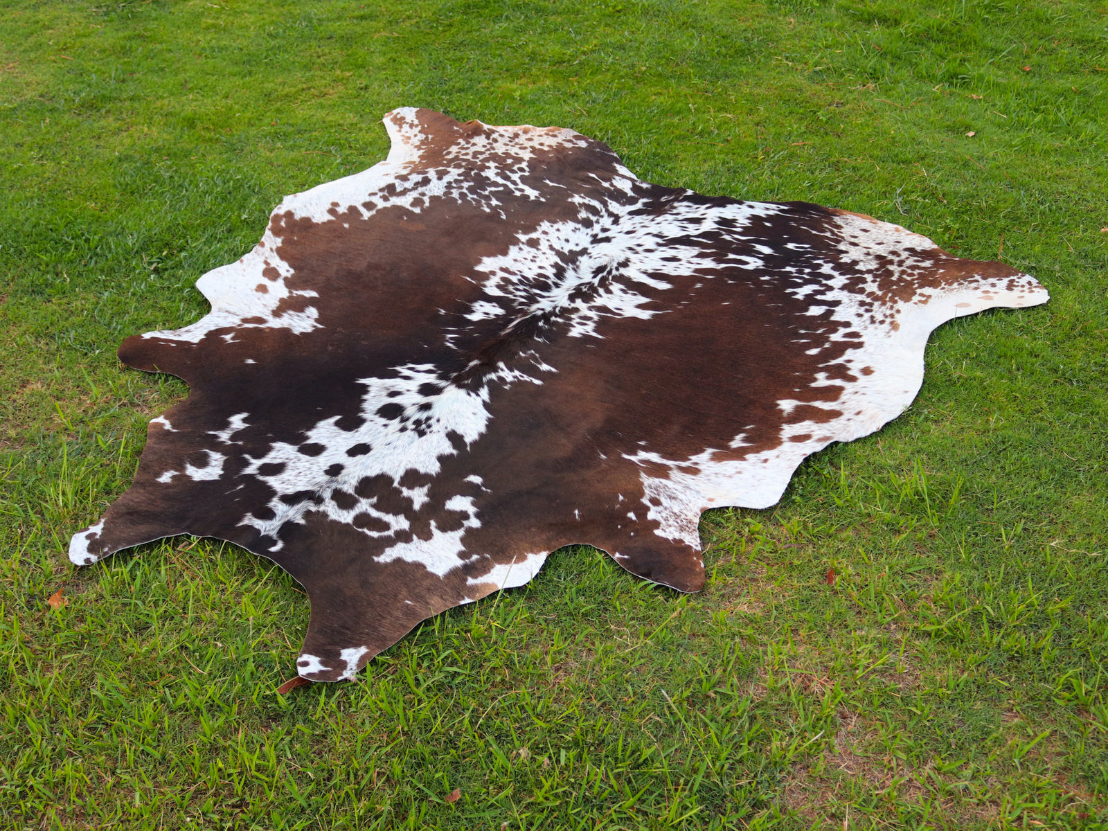 Tricolor Speckled Cowhide Rug for Home Décor