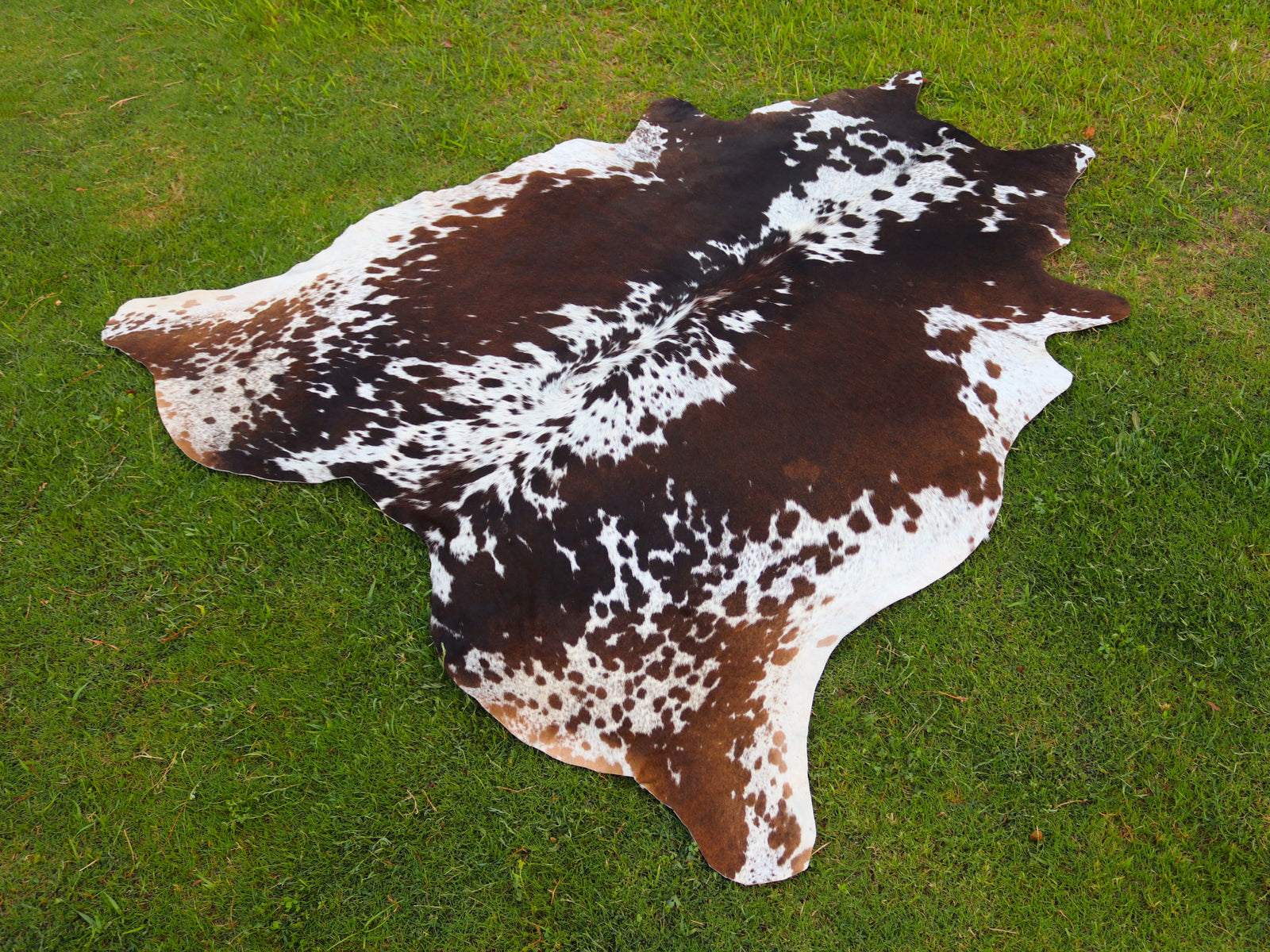 Tricolor Speckled Cowhide Rug for Home Décor